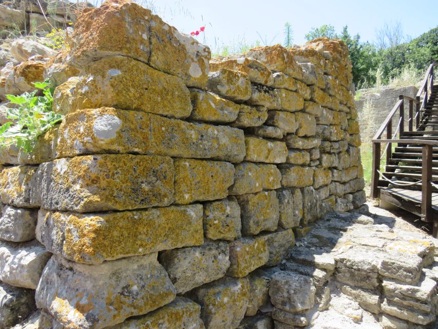 Canakkale: Full-Day Troy and Gallipoli Tour - Who this tour suits best—and who might want a different plan