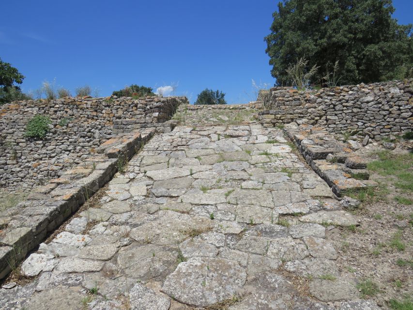 Canakkale: Full-Day Troy and Gallipoli Tour - Should you book the Canakkale Full-Day Troy and Gallipoli Tour?