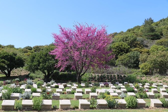 Gallipoli Helles and Suvla Battlefields Tour from Canakkale - Helles sector stops: where the coastline tells the story